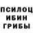Галлюциногенные грибы мухоморы Steve Philips