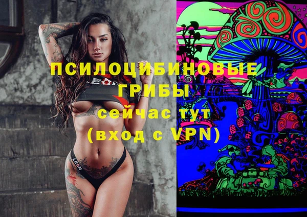 первитин Верхний Тагил