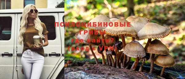 Альфа ПВП Новозыбков