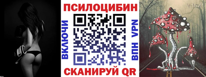 где можно купить наркотик  Березники  Галлюциногенные грибы MAGIC MUSHROOMS 
